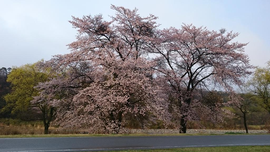 Kansuien Kakuraku Nasushiobara Exterior foto